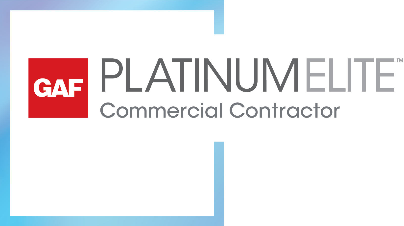 PlatinumElite Logo